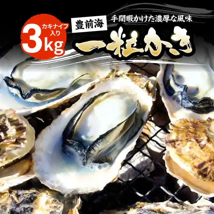 【先行予約】豊前海一粒牡蠣 3kg 牡蠣 VAG007