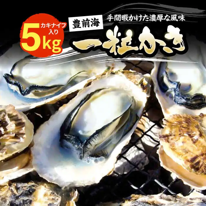 【先行予約】豊前海一粒かき 5kg+かきナイフ付き [VAG010] 牡蠣