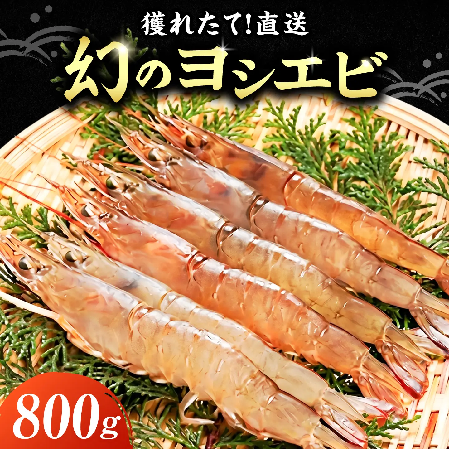 【先行予約】幻のヨシエビ 計800g VAG012 海老 高級
