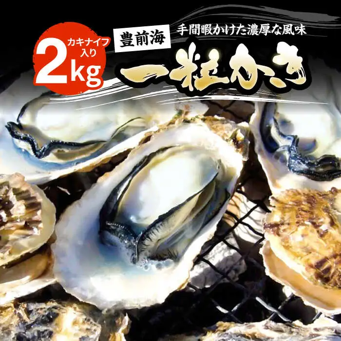 【先行予約】豊前海一粒かき 2kg+かきナイフ付き[VAG013] 牡蠣