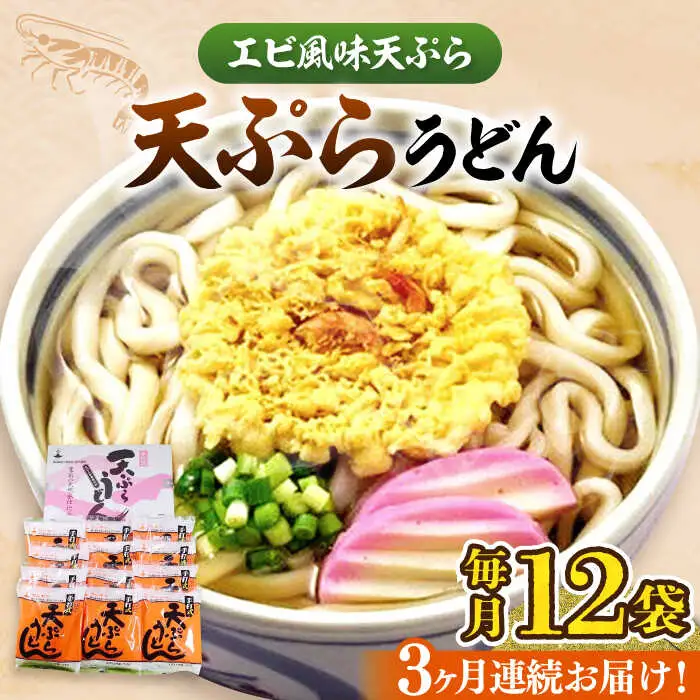 【全3回定期便】天ぷら うどん 12食[VAI055]うどん 天ぷらうどん 天ぷら 麺 麺類