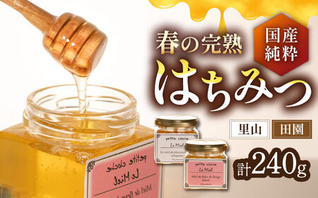はちみつ 里山 120g ＆ 田園 120g VAR004 天然 非加熱 純粋 はちみつ 蜂蜜