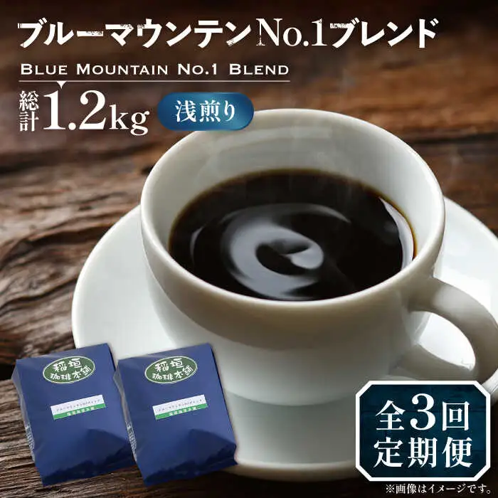 【全3回定期便】ブルーマウンテン NO.1 ブレンド コーヒー ( 浅煎り )[VAS167] 珈琲 コーヒー 