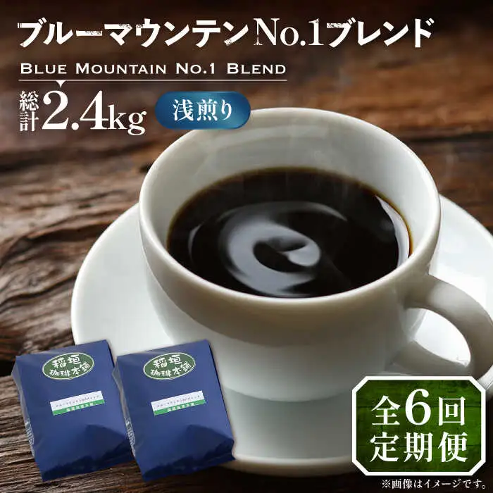 【全6回定期便】ブルーマウンテン NO.1 ブレンド コーヒー ( 浅煎り )[VAS168] 珈琲 コーヒー 
