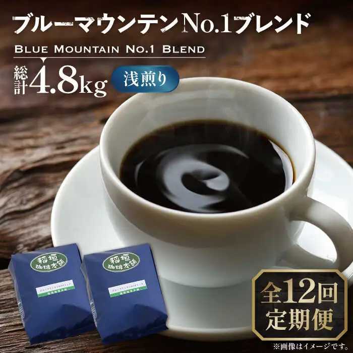 【全12回定期便】ブルーマウンテン NO.1 ブレンド コーヒー ( 浅煎り )[VAS169] 珈琲 コーヒー 
