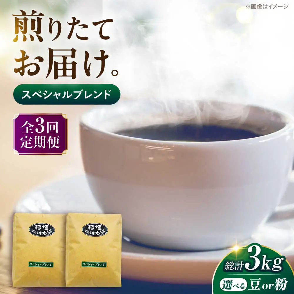【全3回定期便】スペシャル ブレンド コーヒー 500g×2 ( 中煎り ) [VAS173] 珈琲 コーヒー 
