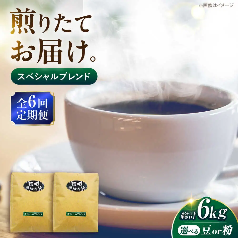 【全6回定期便】スペシャル ブレンド コーヒー 500g×2 ( 中煎り ) [VAS174] 珈琲 コーヒー 