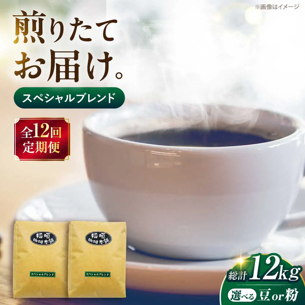【全12回定期便】スペシャル ブレンド コーヒー 500g×2 ( 中煎り ) [VAS175] 珈琲 コーヒー 
