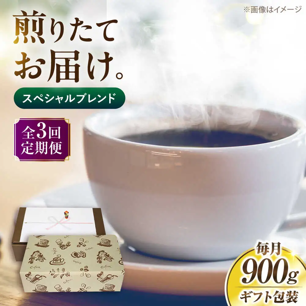 【全3回定期便】【ギフト用】スペシャル ブレンド セット 500g×2 [VAS176] 珈琲 コーヒー 
