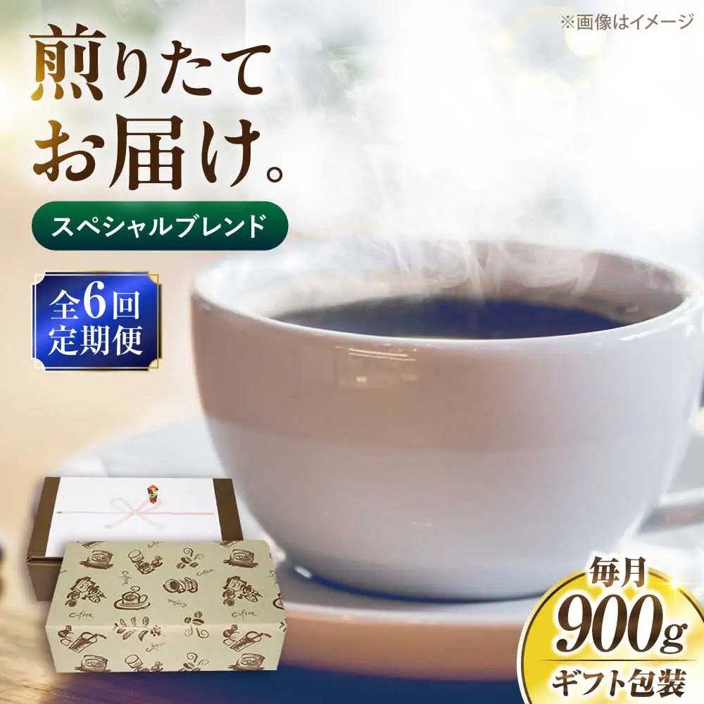 【全6回定期便】【ギフト用】スペシャル ブレンド セット 500g×2 [VAS177] 珈琲 コーヒー 