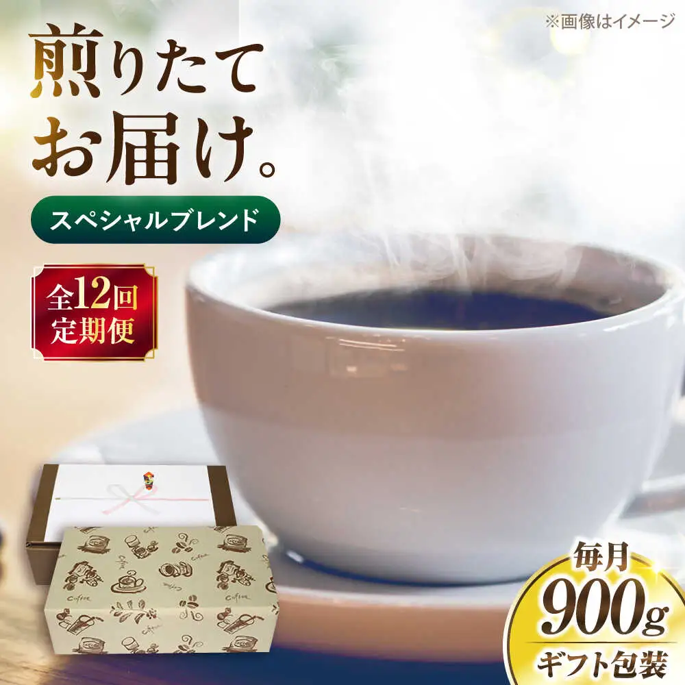 【全12回定期便】【ギフト用】スペシャル ブレンド セット 500g×2 [VAS178] 珈琲 コーヒー 