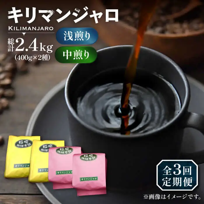 【全3回定期便】キリマンジャロ コーヒー 2種 ( 浅煎り フルーツフレーバー ＆ 中煎り チョコレートフレーバー )[VAS191]珈琲 コーヒー 