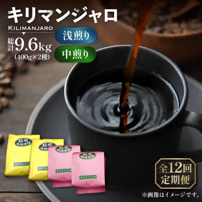 【全12回定期便】キリマンジャロ コーヒー 2種 ( 浅煎り フルーツフレーバー ＆ 中煎り チョコレートフレーバー )[VAS193]珈琲 コーヒー 