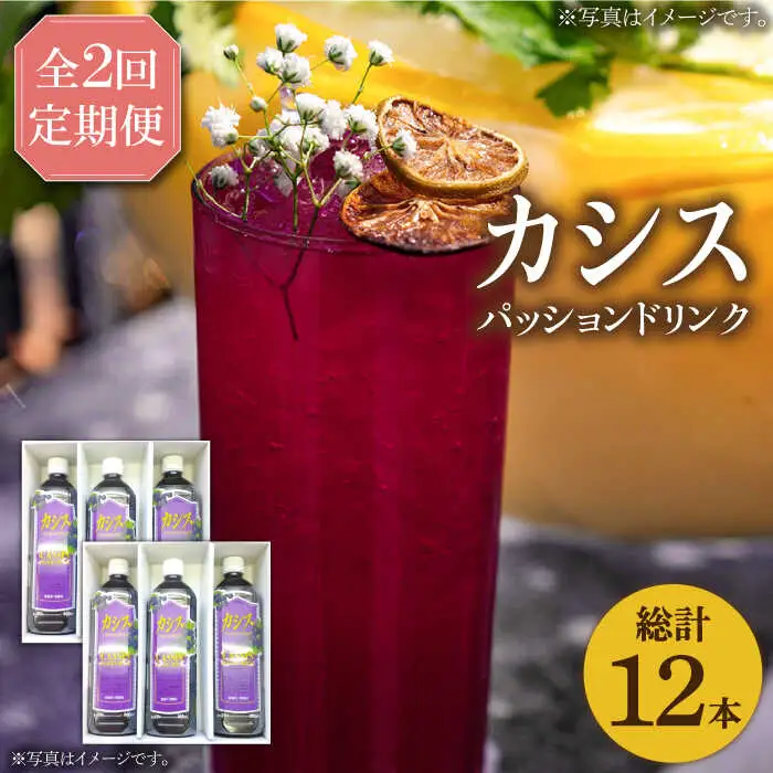 【全2回定期便】カシス パッション ドリンク 6本 セット[VAX018]果汁 ジュース 飲料（3ヶ月おきにお届け）