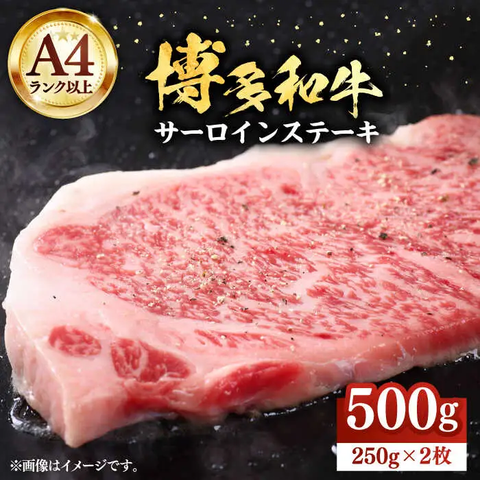 博多和牛 サーロインステーキ 250g×2枚 [VBB011] ステーキ サーロイン