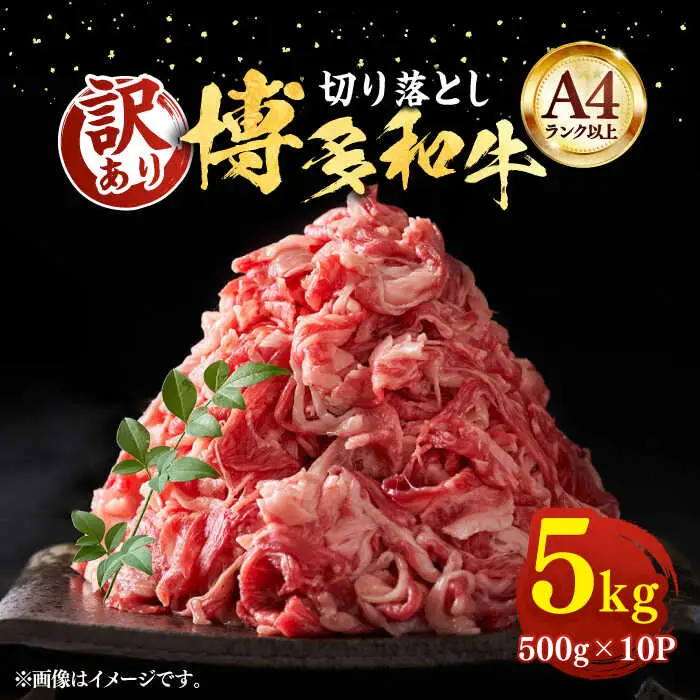 博多和牛 切り落とし 5kg [VBB026] 牛切り落とし 大容量