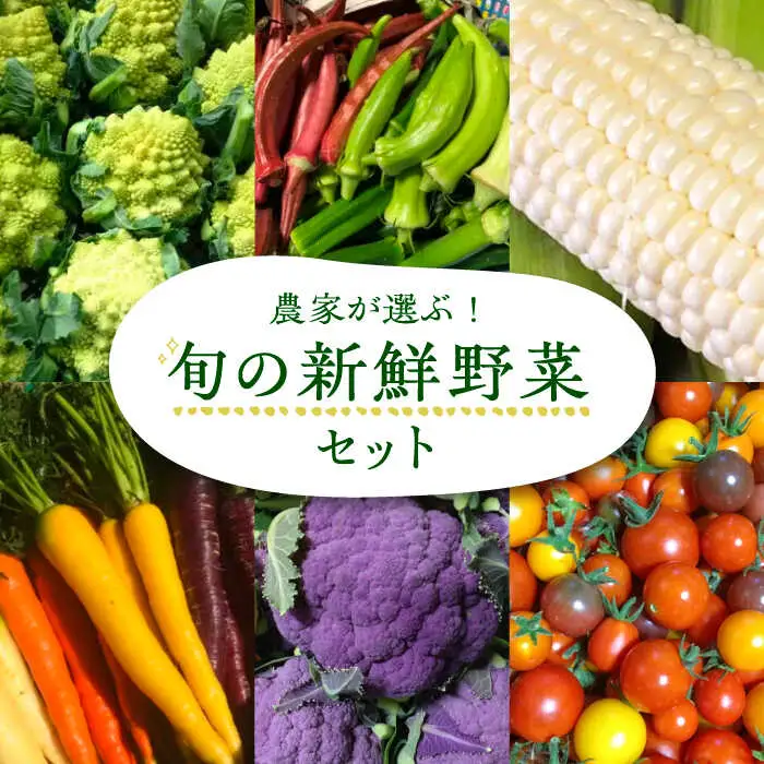 旬の新鮮野菜セット VBE002 野菜 詰め合わせ