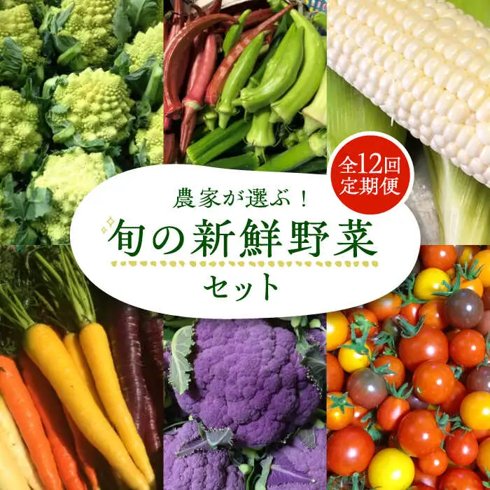 【全12回定期便】農家が選ぶ！ 旬の新鮮野菜セット[VBE010]産直 野菜 やさい 詰め合わせ