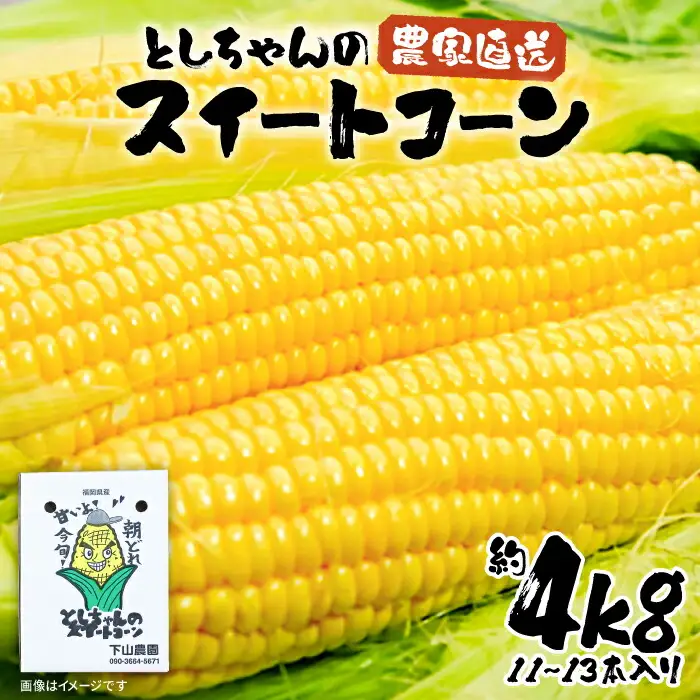 【先行予約】としちゃんのスイートコーン 約4kg 11-13本 [VBH001] スイートコーン