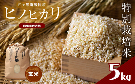 特別栽培米　　四億年の大地（ヒノヒカリ玄米）　５ｋｇ