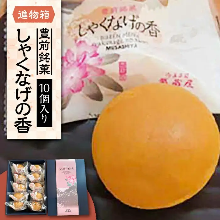 【進物箱】しゃくなげの香 10個入り[VBU004] ギフト 贈り物 和菓子