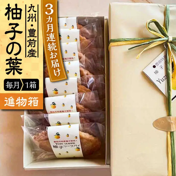 【全3回定期便】【進物箱】柚子の葉 8枚入り[VBU017]ギフト 贈り物 和菓子