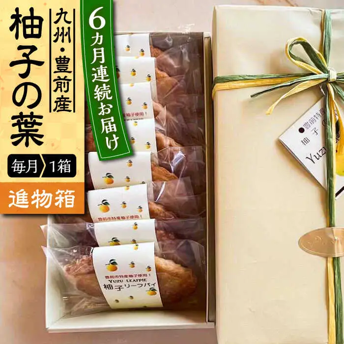【全6回定期便】【進物箱】柚子の葉 8枚入り[VBU018]ギフト 贈り物 和菓子