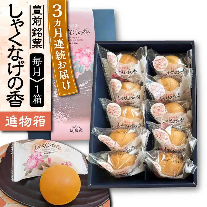 【全3回定期便】【進物箱】しゃくなげの香 10個入り[VBU020]ギフト 贈り物 和菓子