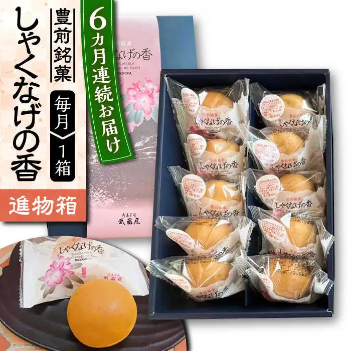 【全6回定期便】【進物箱】しゃくなげの香 10個入り[VBU021]ギフト 贈り物 和菓子