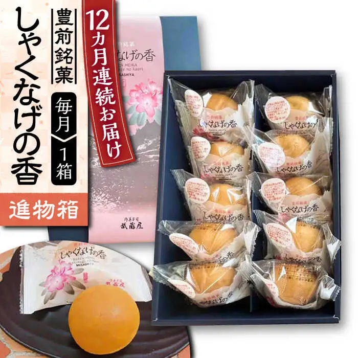 【全12回定期便】【進物箱】しゃくなげの香 10個入り[VBU022]ギフト 贈り物 和菓子