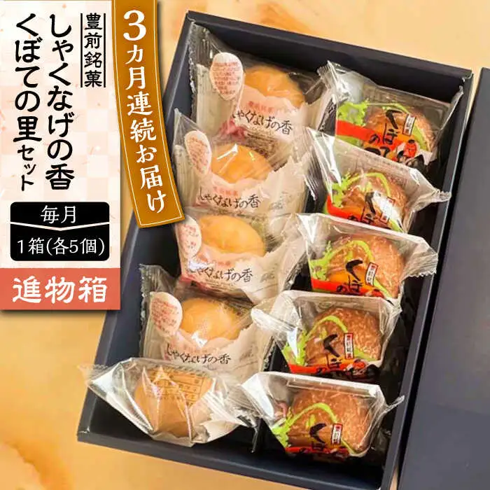 【全3回定期便】【進物箱】くぼての里 5個 しゃくなげの香 5個 詰合せ[VBU035]ギフト 贈り物 和菓子