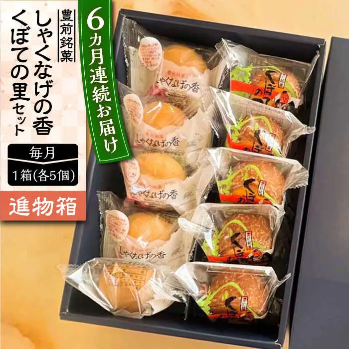 【全6回定期便】【進物箱】くぼての里 5個 しゃくなげの香 5個 詰合せ[VBU036]ギフト 贈り物 和菓子