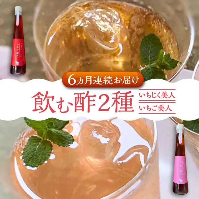【全6回定期便】＜いちじく美人・いちご美人＞ 飲む酢 2本 セット[VBW021]地産 福岡 万能 調味料 酢