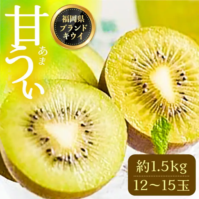 【先行予約】キウイ 約1.5kg 12-15玉 VBY004 キウイフルーツ