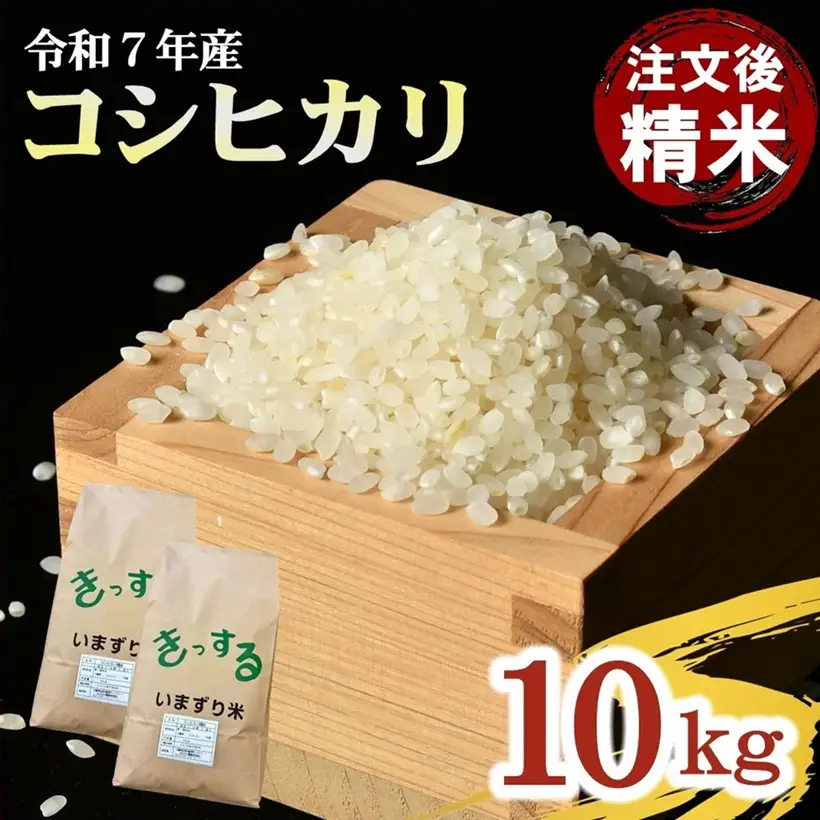 コシヒカリ精米 10kg [ コシヒカリ ] / 002109A