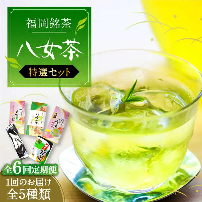 【全6回定期便】福岡銘茶八女茶 特選セット5種 合計550g 老舗製茶店 [VCL124]