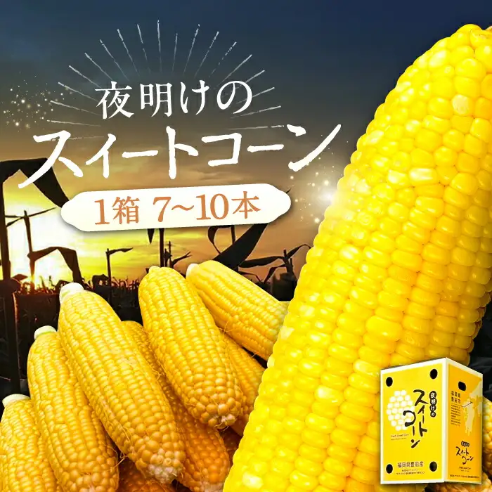 【先行予約】夜明けのスイートコーン 4kg×1箱 7-10本 [VCO001] コーン とうもろこし