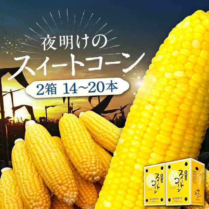 【先行予約】夜明けのスイートコーン 4kg×2箱 14-20本 [VCO002] コーン とうもろこし