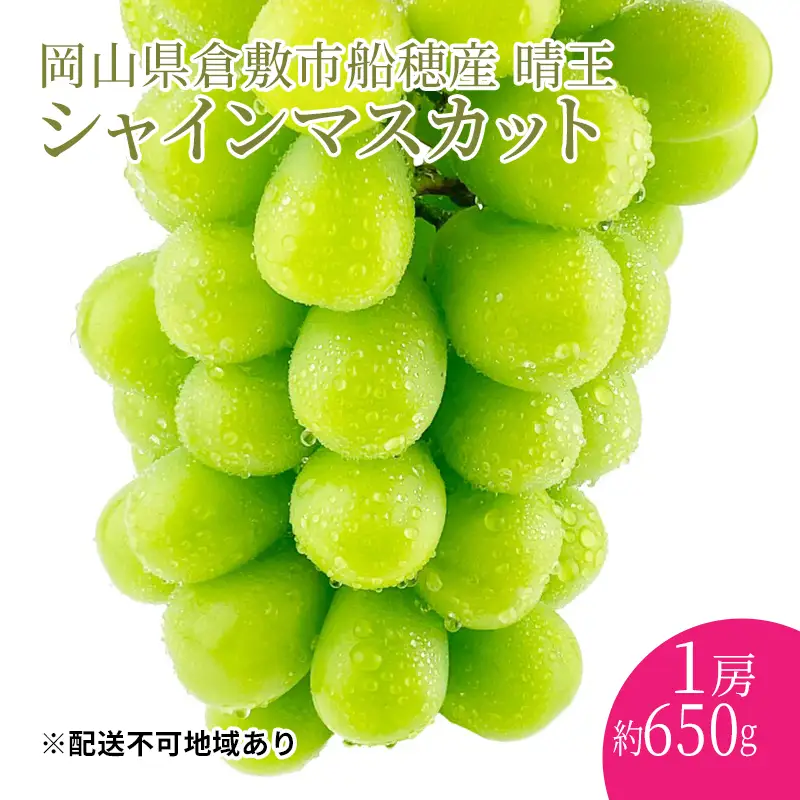 ぶどう 2026年度分 先行予約 【プレミアムシャインマスカット 晴王 1房 約650g】 岡山県産 シャインマスカット