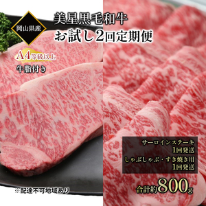 黒毛和牛 お試し定期便 2回発送 サーロインステーキ 約400g 黒毛和牛