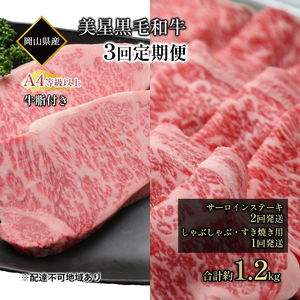 黒毛和牛 定期便 3回発送 サーロインステーキ 約400g ×2回  黒毛和牛