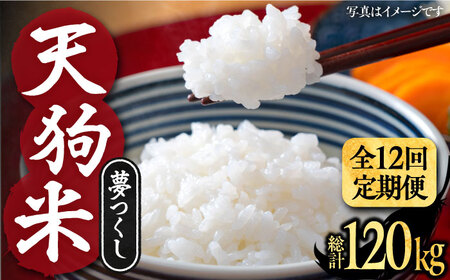 【全12回定期便】令和8年産 天狗米 夢つくし 10kg VCX012 お米 白米 定期便