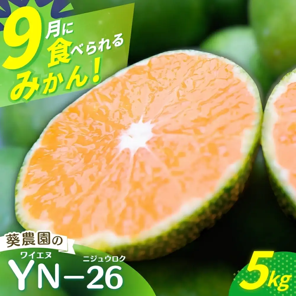 ＼先行予約／ 【秀品】 極早生みかん YN-26 5kg（2S～Mサイズ混合） ※2026年9月より順次発送 / みかん ミカン 蜜柑 和歌山 早生 極早生 YN-26 温州 田辺市 紀州 くだもの 柑橘 フルーツ 【aoi002-1】