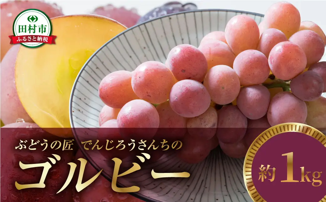 ＼ 先行予約 2026年発送 ／ ゴルビー 約1kg 冷蔵 種無し 種なし シャインマスカット ブドウ ぶどう 品種 果物 甘い 巨峰 美味しい 希少 人気 ランキング おすすめ 家庭用 福島県 田村市  鈴木農園 でんじろうさん 