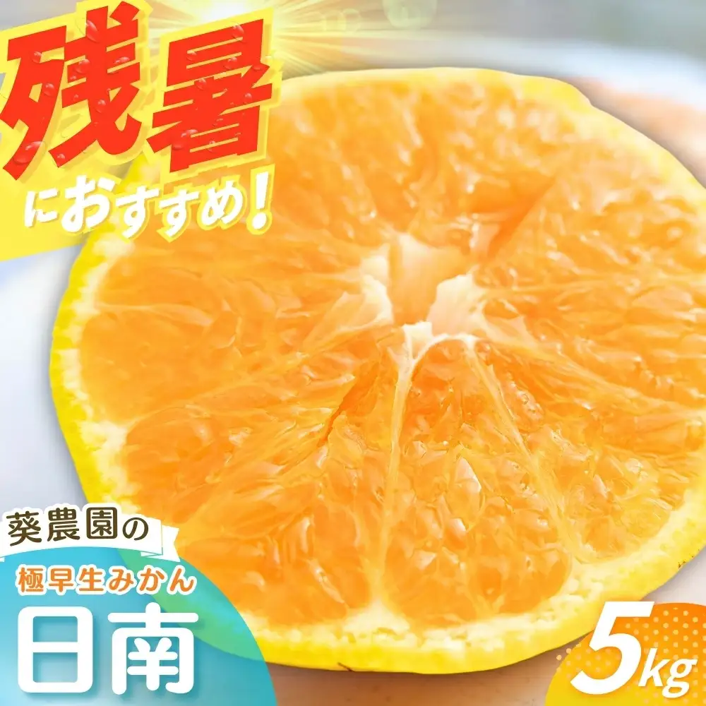 【先行予約】 【秀品】 極早生みかん 日南 5kg（S～Lサイズ混合） ※2026年10月より順次発送 / みかん ミカン 蜜柑 和歌山 早生 極早生 日南 温州 田辺市 紀州 くだもの 柑橘 フルーツ 【aoi003-1】