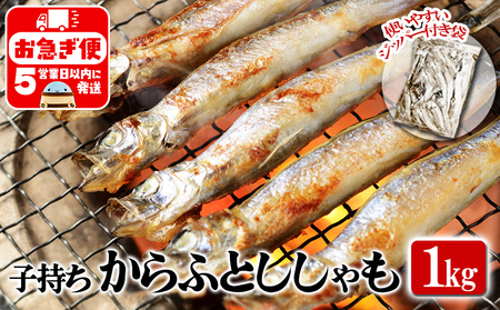 A1-1808／冷凍 子持ち からふとししゃも 1kg