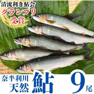 107002　奈半利川の友釣り天然アユ（冷凍）９尾