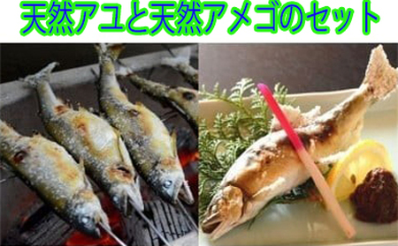 107005　奈半利川の友釣り天然アユ２尾と奈半利川の天然アメゴ３尾セット（冷凍）