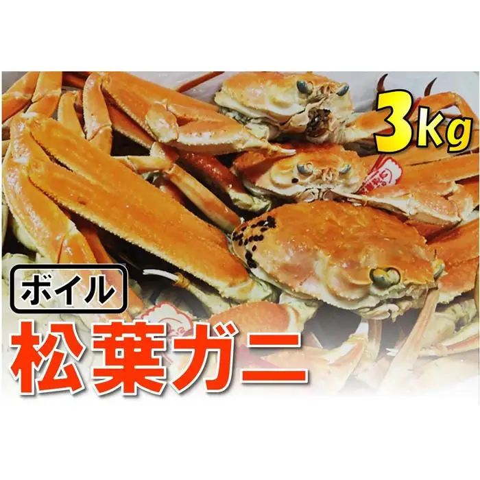 【魚倉】松葉がに ボイル おまかせセット 3kg 訳あり