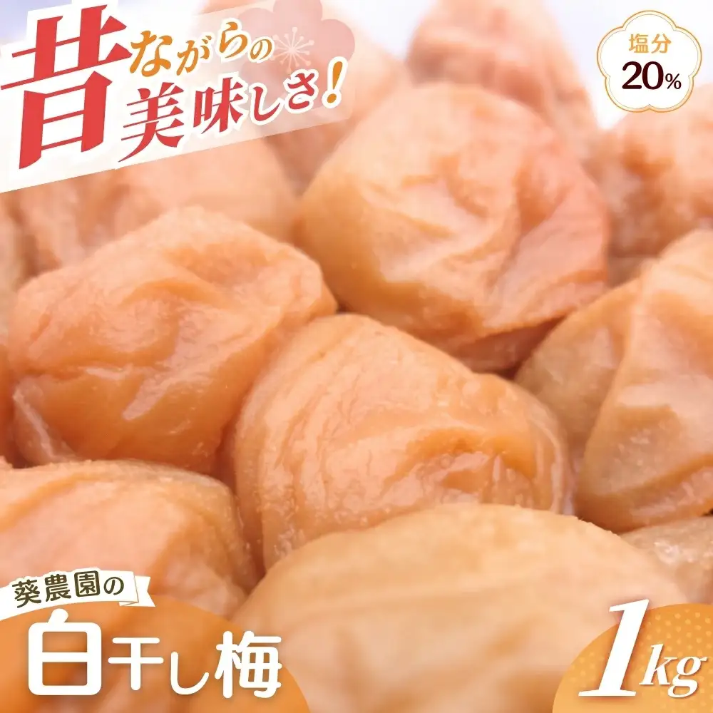 梅干し 紀州南高梅 1kg 紀州白梅干し 【aoi014-2】 